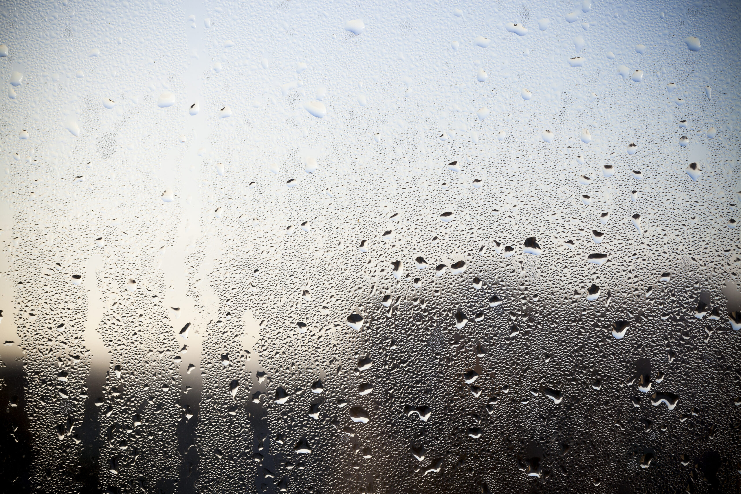 Close-up of condensation droplets on a window, indicating damp conditions